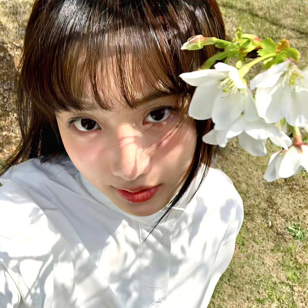 秘密菜园